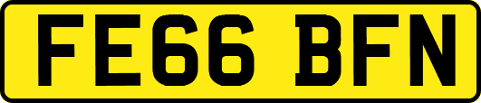 FE66BFN