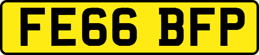 FE66BFP