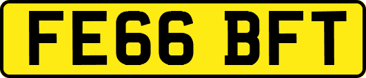 FE66BFT