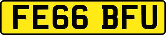 FE66BFU