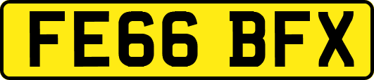 FE66BFX