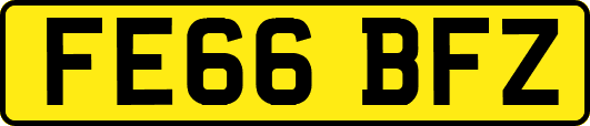 FE66BFZ