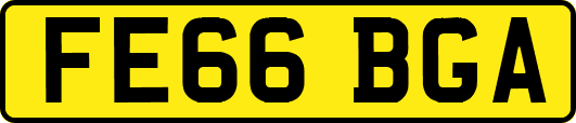 FE66BGA