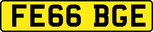 FE66BGE