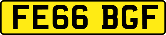 FE66BGF