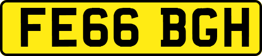 FE66BGH