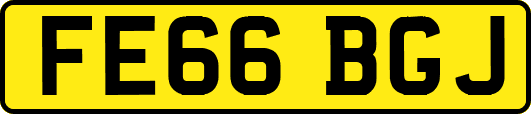 FE66BGJ