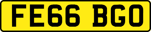 FE66BGO