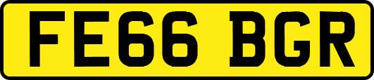 FE66BGR