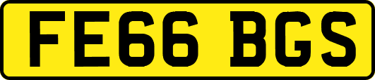 FE66BGS