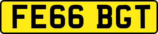 FE66BGT