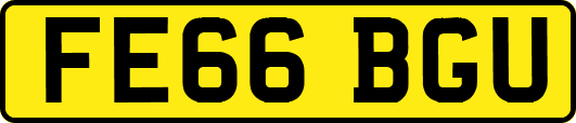 FE66BGU