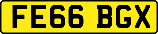 FE66BGX