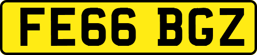 FE66BGZ