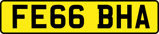FE66BHA