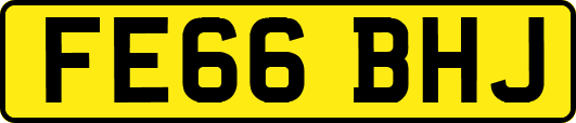 FE66BHJ