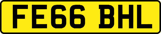 FE66BHL