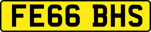 FE66BHS