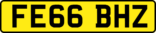 FE66BHZ