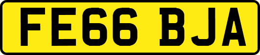 FE66BJA