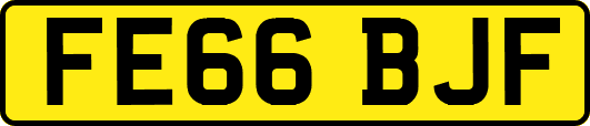 FE66BJF