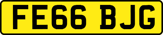 FE66BJG