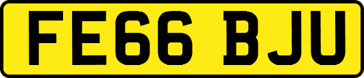 FE66BJU