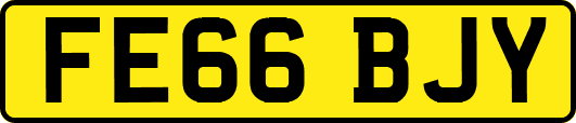 FE66BJY