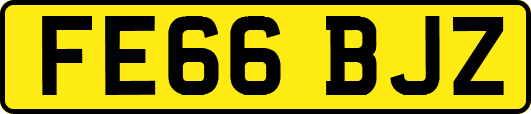 FE66BJZ