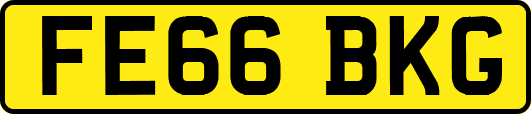 FE66BKG