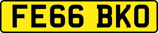 FE66BKO