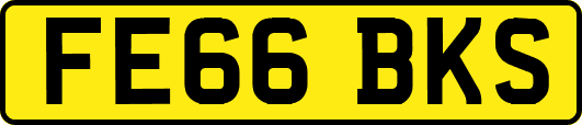 FE66BKS