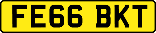 FE66BKT
