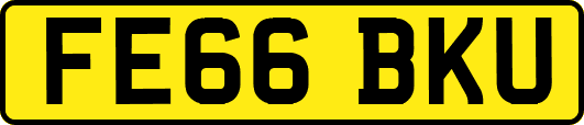 FE66BKU