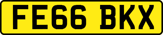 FE66BKX