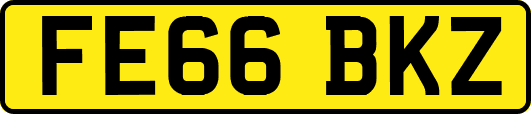 FE66BKZ