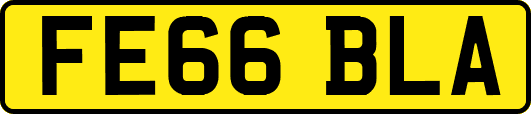 FE66BLA
