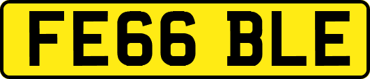 FE66BLE