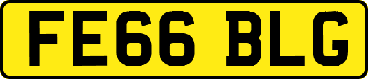 FE66BLG