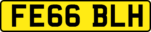 FE66BLH