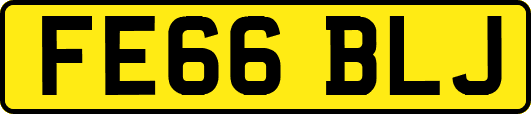 FE66BLJ