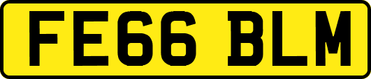 FE66BLM