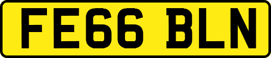 FE66BLN
