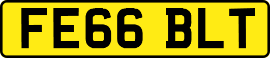 FE66BLT