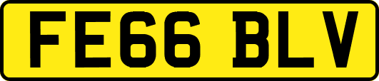 FE66BLV