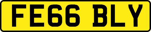 FE66BLY