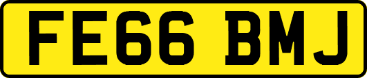 FE66BMJ