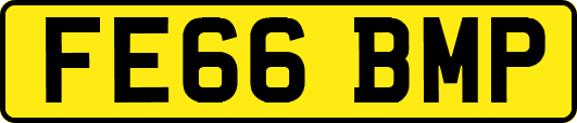 FE66BMP