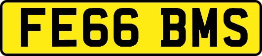 FE66BMS