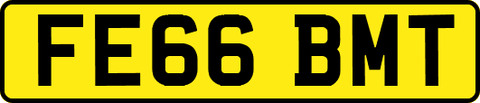 FE66BMT